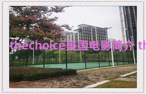 thechoice美国电影简介 the choice 电影